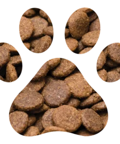 Grain Free Chicken for Kittens