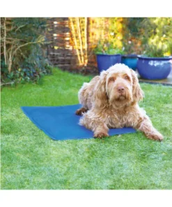 Rosewood Chillax Pet Cool Mat - Blue